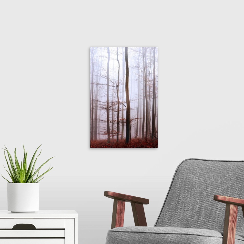 A modern room featuring Trees inside a forest