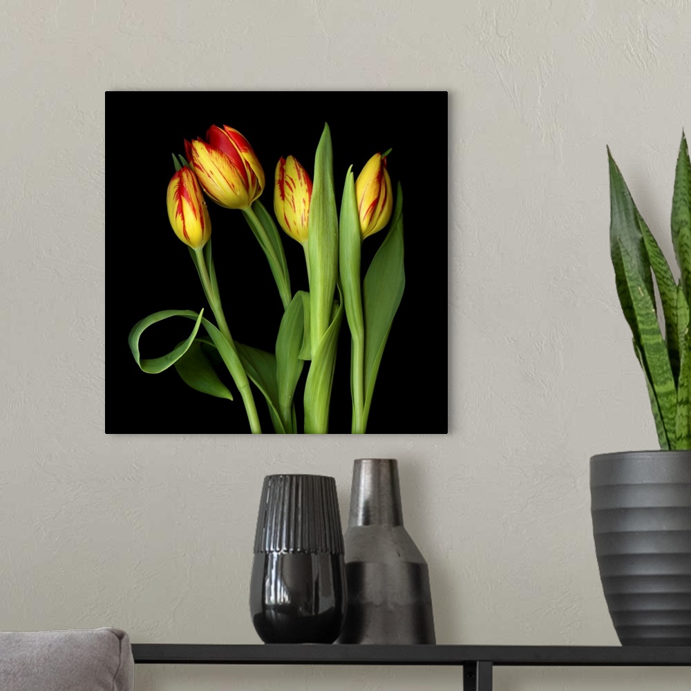 A modern room featuring Red And Yellow Tulips