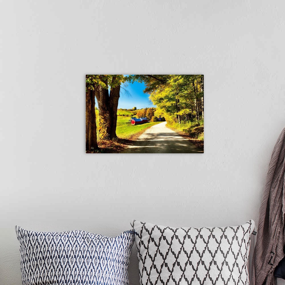 A bohemian room featuring Fine art photo of an old-fashioned barn in a field at the edge of a road in a forest in New England.