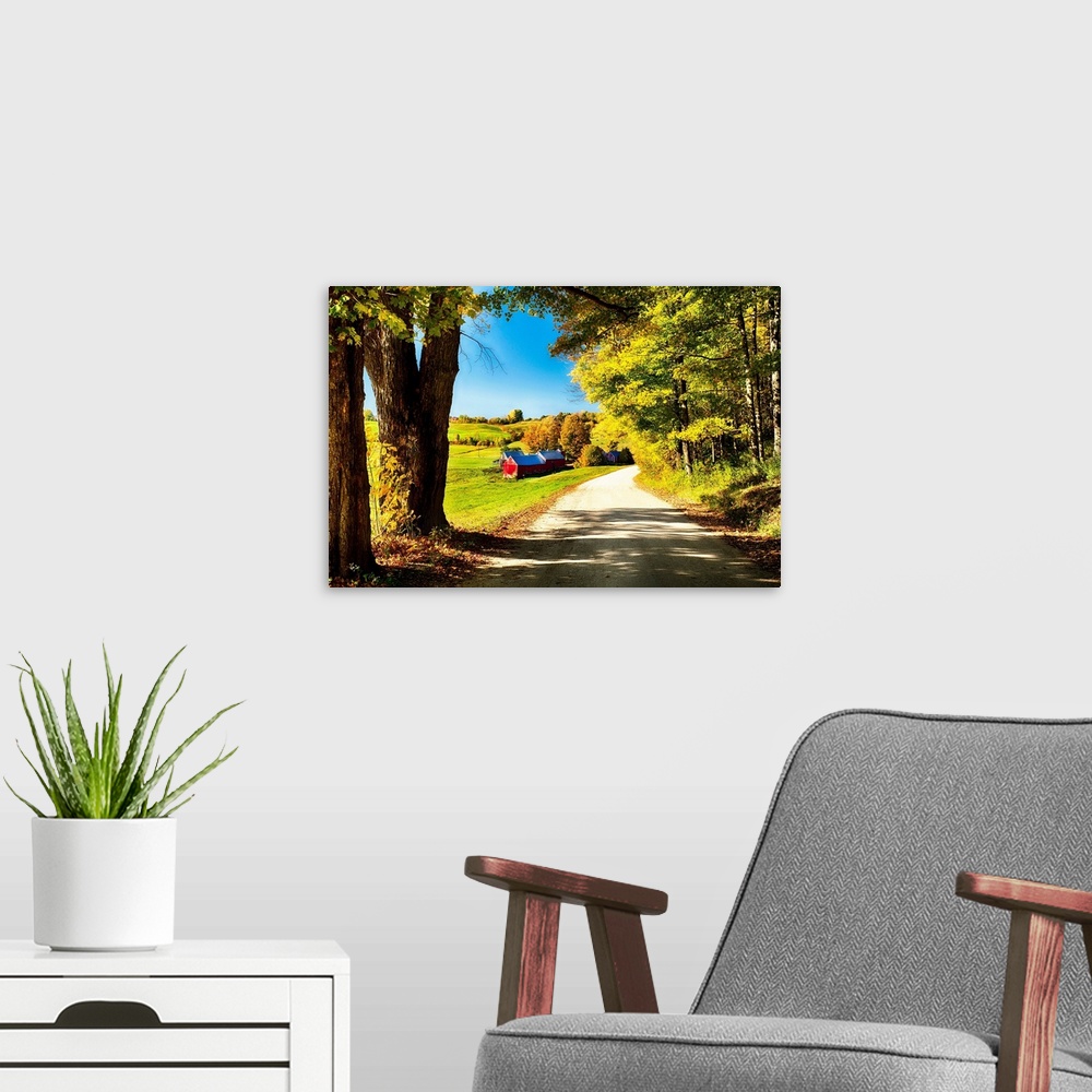 A modern room featuring Fine art photo of an old-fashioned barn in a field at the edge of a road in a forest in New England.