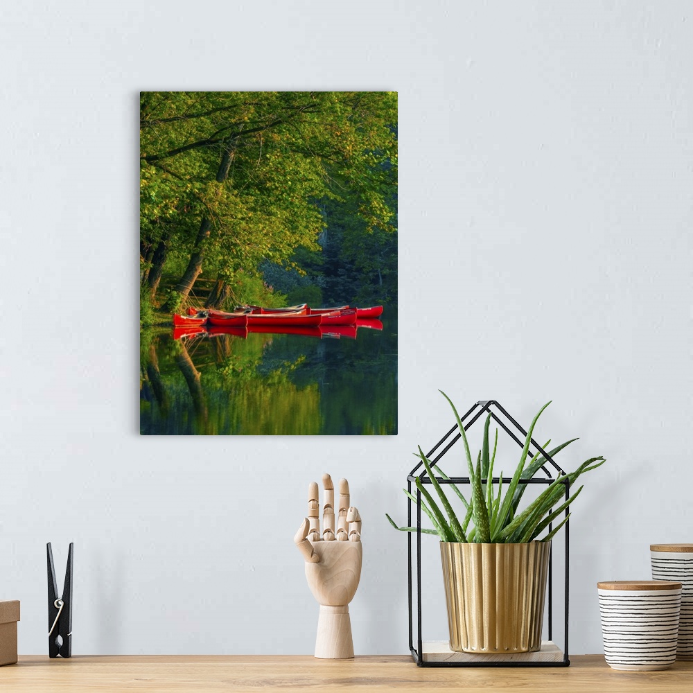 A bohemian room featuring Bright red canoes on the water at the edge of a forest.