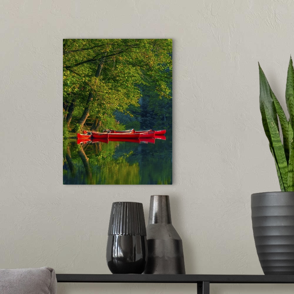 A modern room featuring Bright red canoes on the water at the edge of a forest.