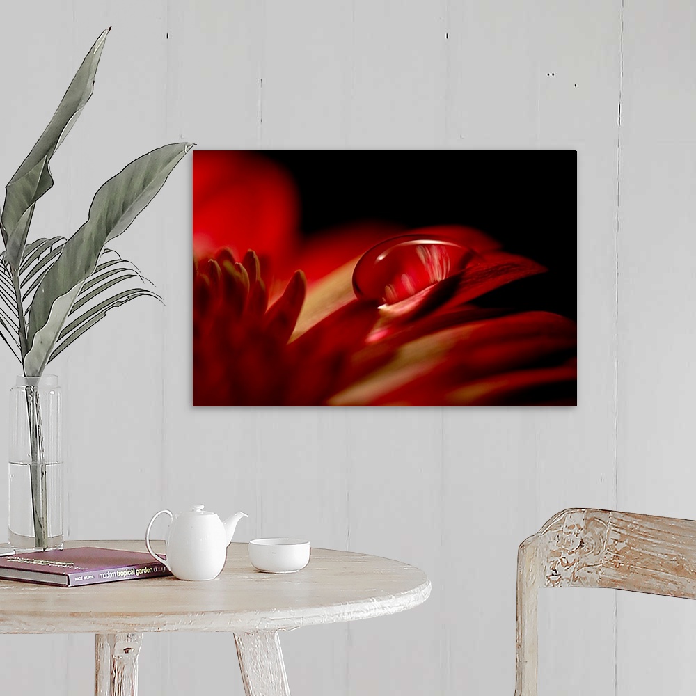 A farmhouse room featuring Big canvas photo of an up-close water droplet on a flower's petals.