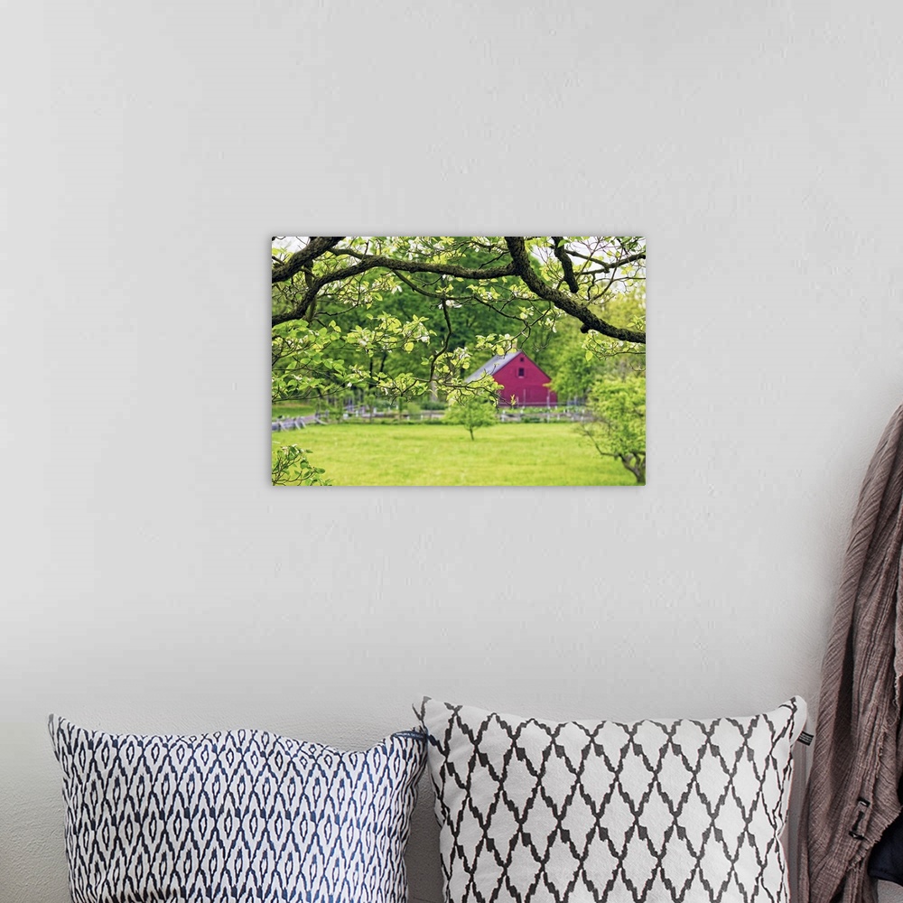 A bohemian room featuring A photograph of a countryside scene with a red barn seen in the distance.