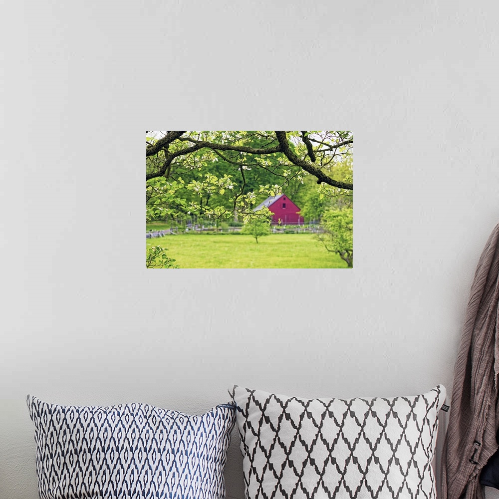 A bohemian room featuring A photograph of a countryside scene with a red barn seen in the distance.