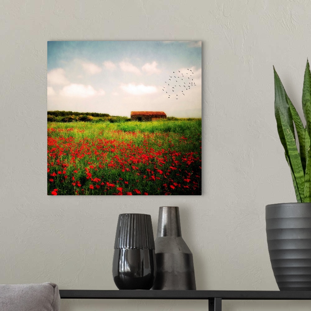 A modern room featuring Square, big fine art photograph of a vast field of tall grasses and wildflowers, a flock of birds...