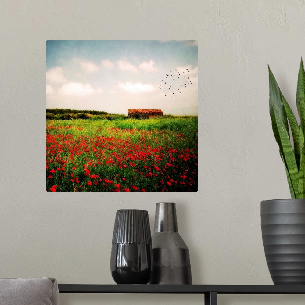A modern room featuring Square, big fine art photograph of a vast field of tall grasses and wildflowers, a flock of birds...