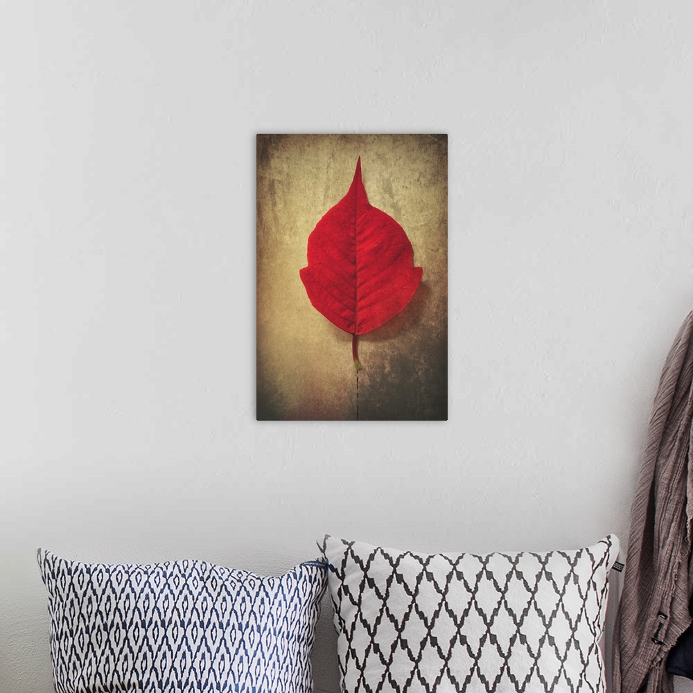 A bohemian room featuring Photograph of perfect, bright red leaf on a neutral colored ground with a black dotted line leadi...