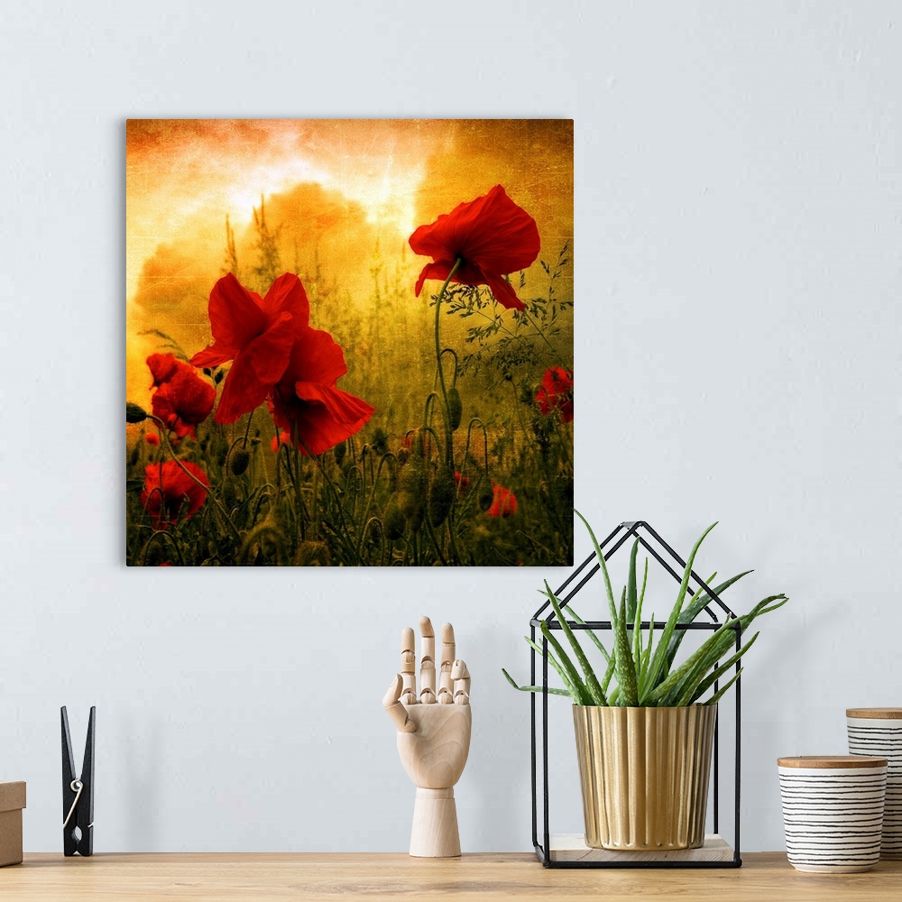 A bohemian room featuring Giant square photograph composed of a close-up shot of colorful flowers near a forest.