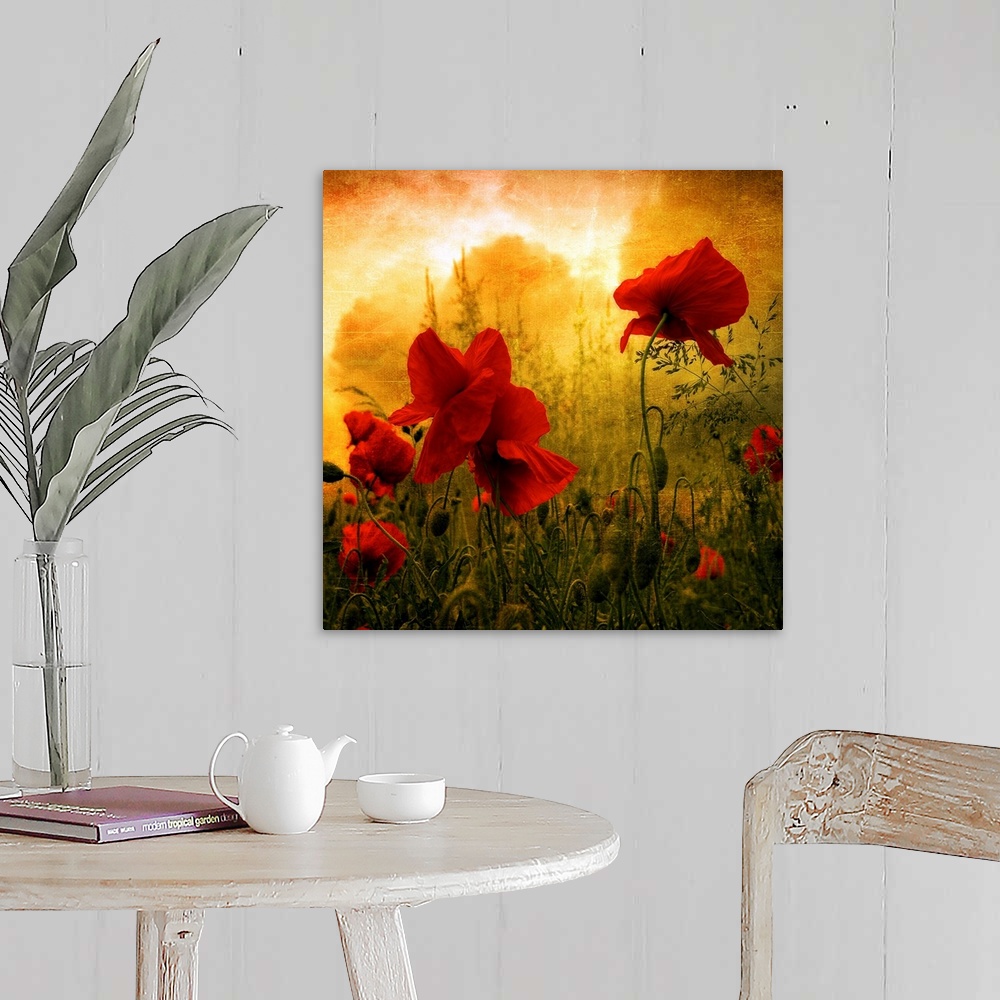 A farmhouse room featuring Giant square photograph composed of a close-up shot of colorful flowers near a forest.
