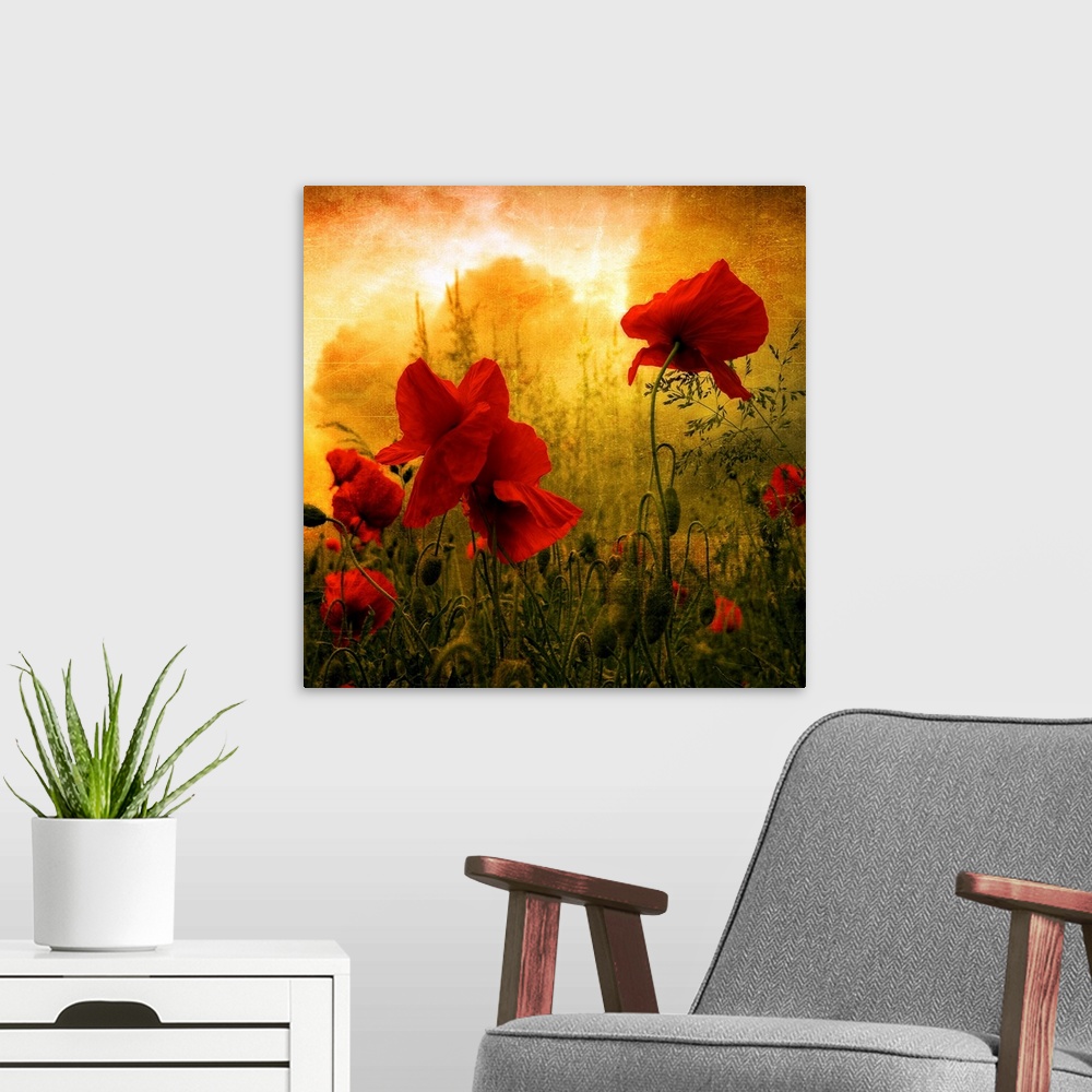 A modern room featuring Giant square photograph composed of a close-up shot of colorful flowers near a forest.