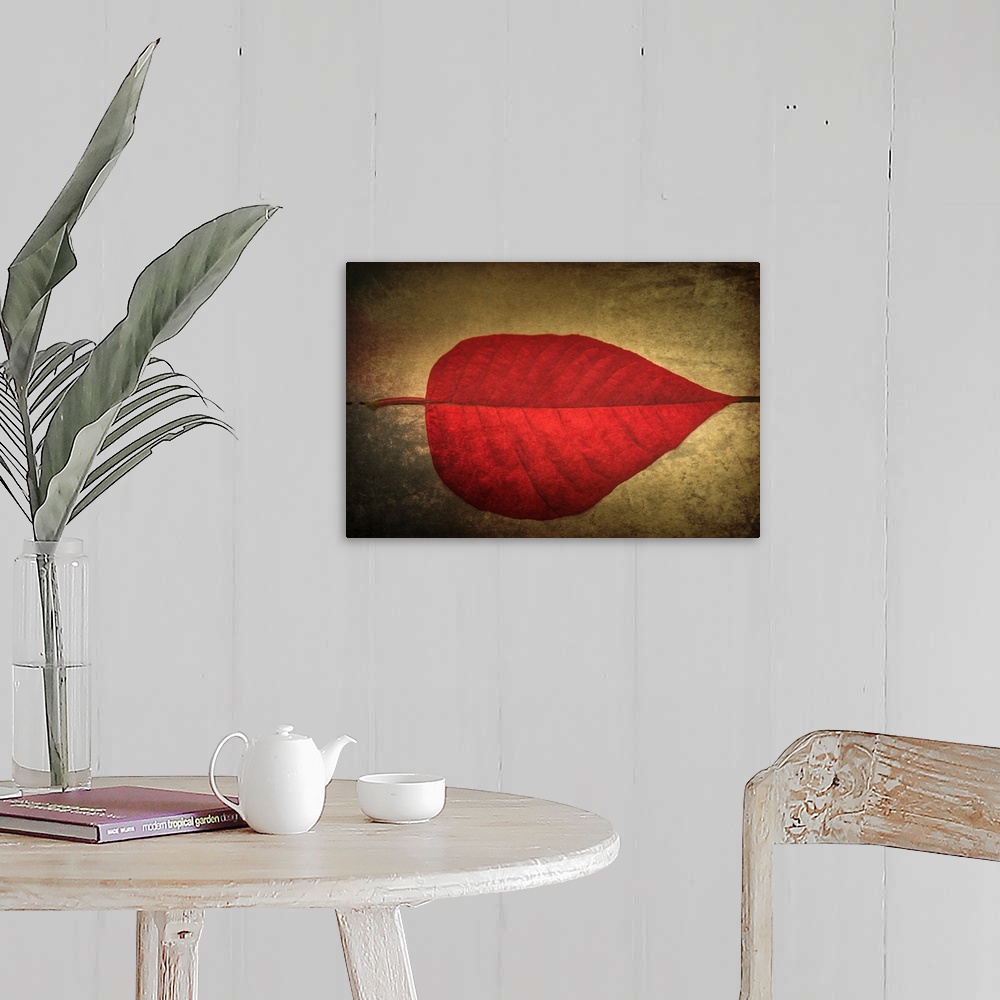 A farmhouse room featuring Photograph of perfect, bright red leaf on a neutral colored ground with a black dotted line leadi...