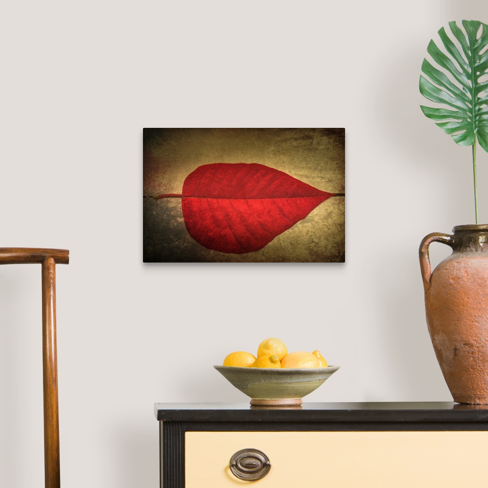 A traditional room featuring Photograph of perfect, bright red leaf on a neutral colored ground with a black dotted line leadi...