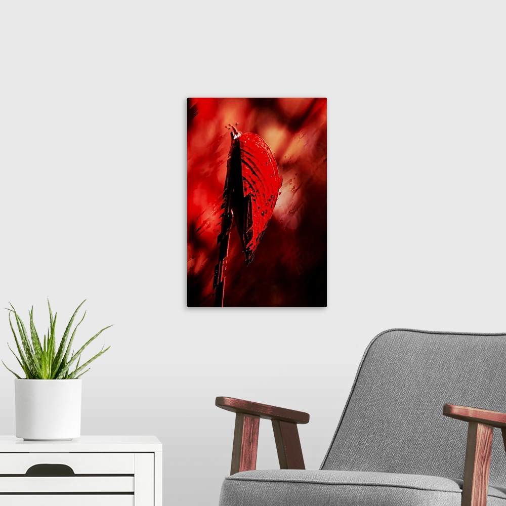 A modern room featuring An abstract photo of a red leaf against a blurry background that has been distressed throughout.