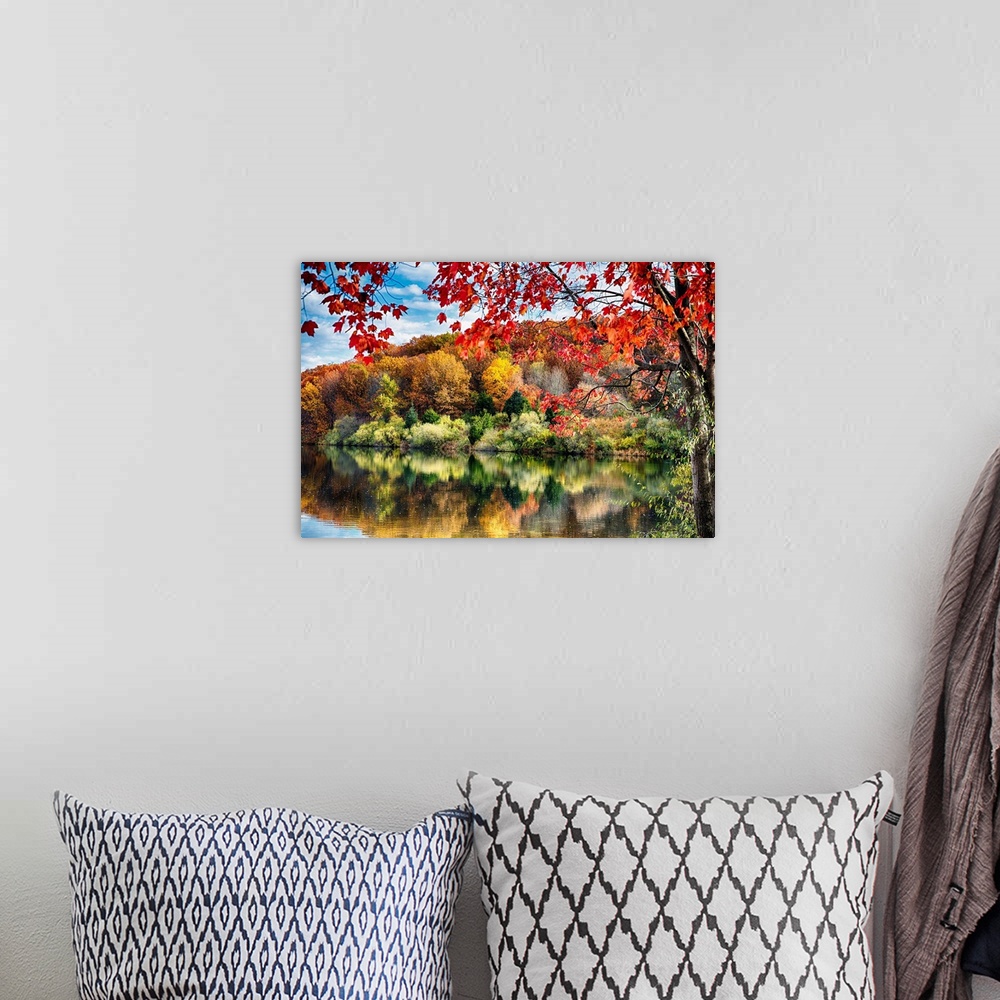 A bohemian room featuring Fine art photo of a tree with bright leaves at the edge of a lake with the reflection of a fall f...