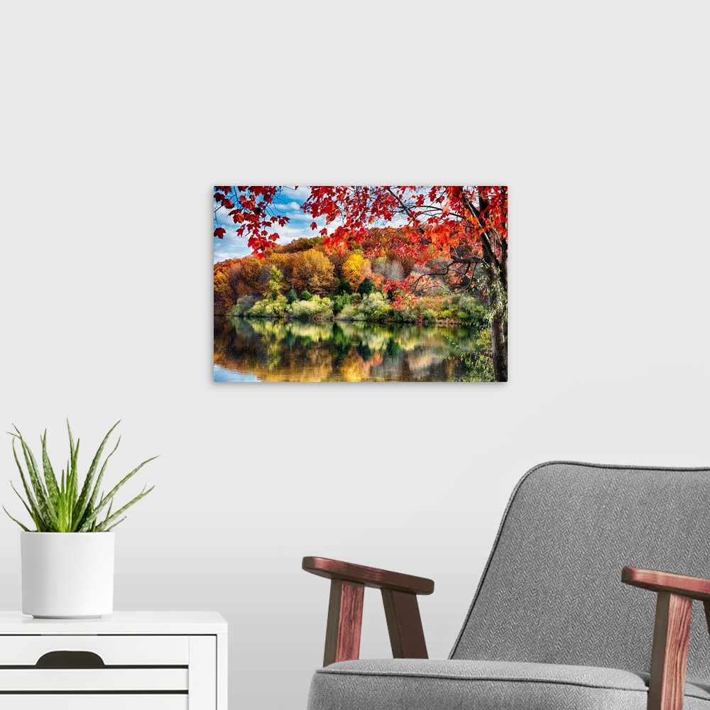 A modern room featuring Fine art photo of a tree with bright leaves at the edge of a lake with the reflection of a fall f...