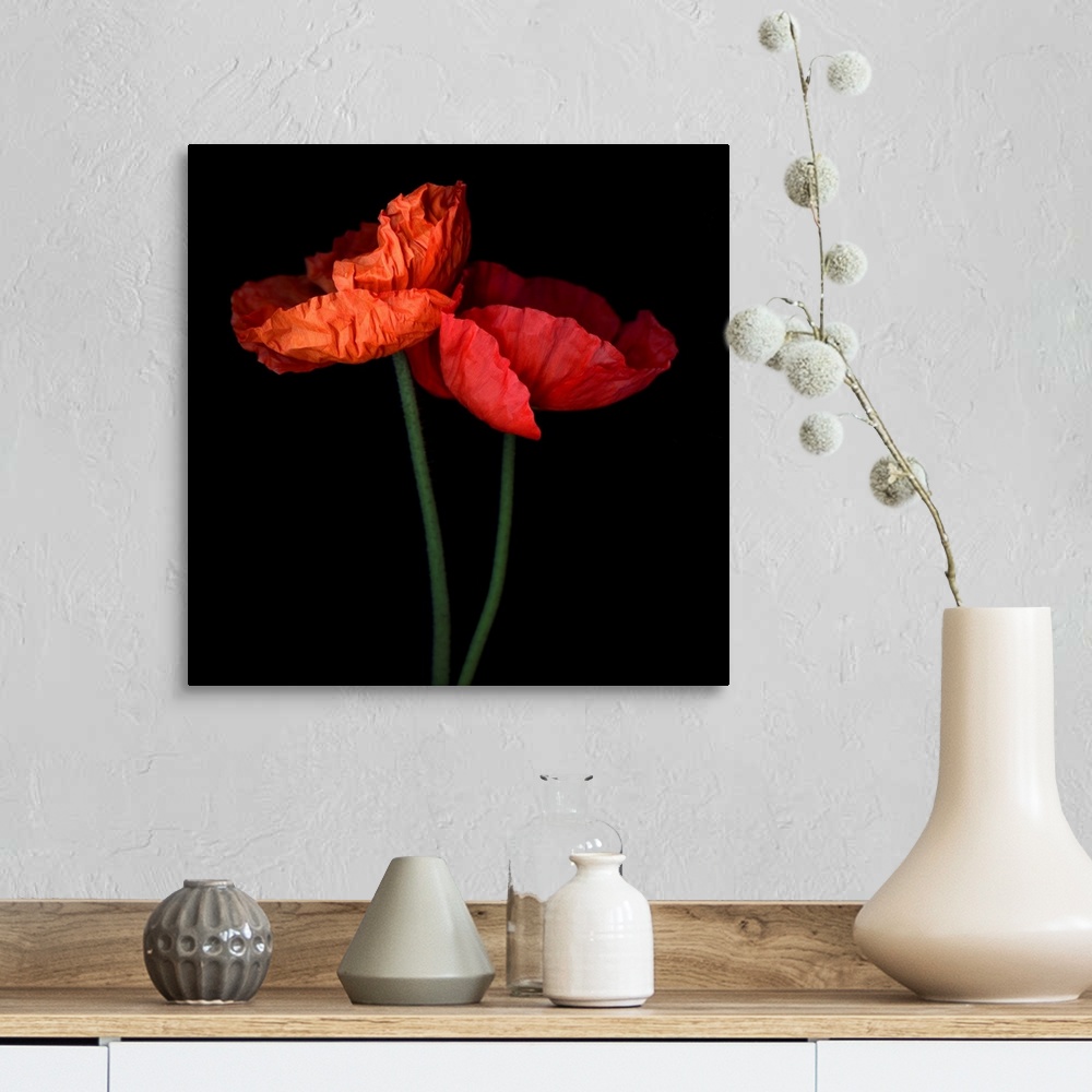A farmhouse room featuring Red Poppies