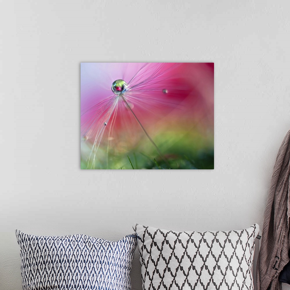 A bohemian room featuring A macro photograph of a water droplet sitting atop a seed head against an abstract background.