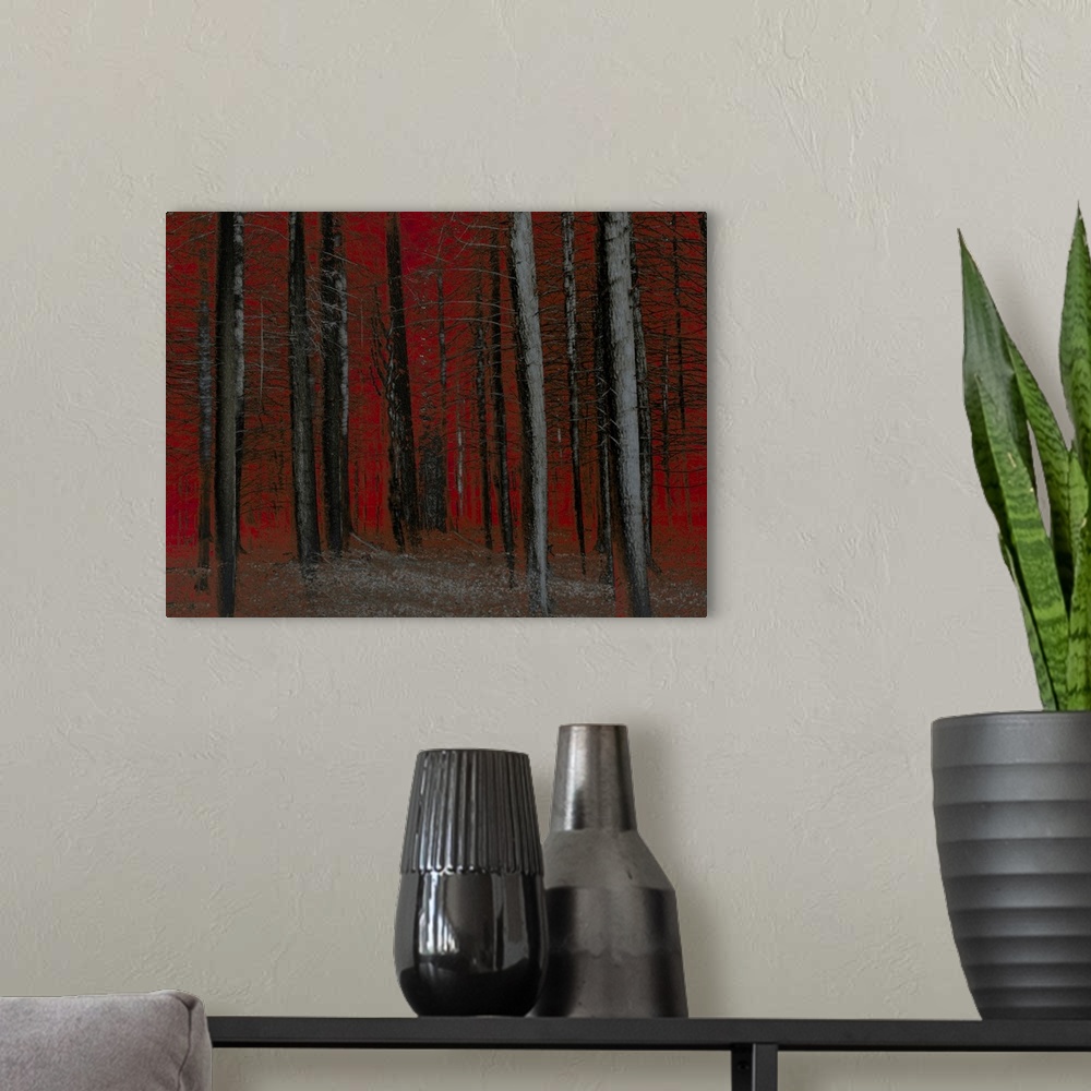 A modern room featuring Fine art photograph of bare trees in Winter woods with a bold red sky and background.