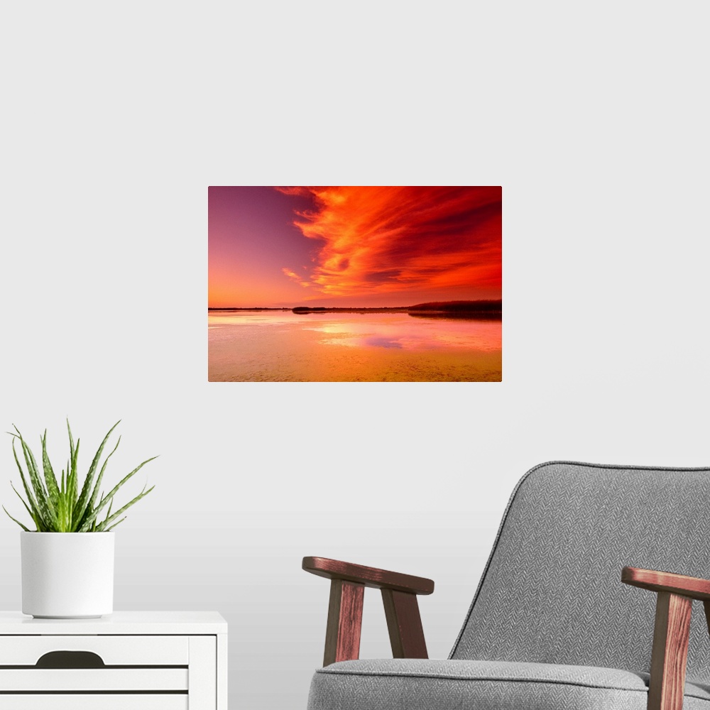 A modern room featuring Sunset over marsh with wispy clouds overhead.