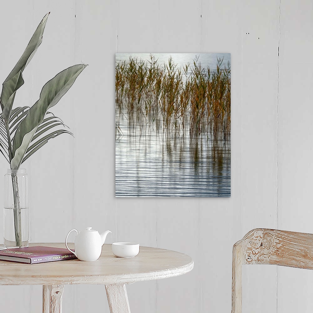 A farmhouse room featuring Fine art photo of reeds sticking out of a calm pond.