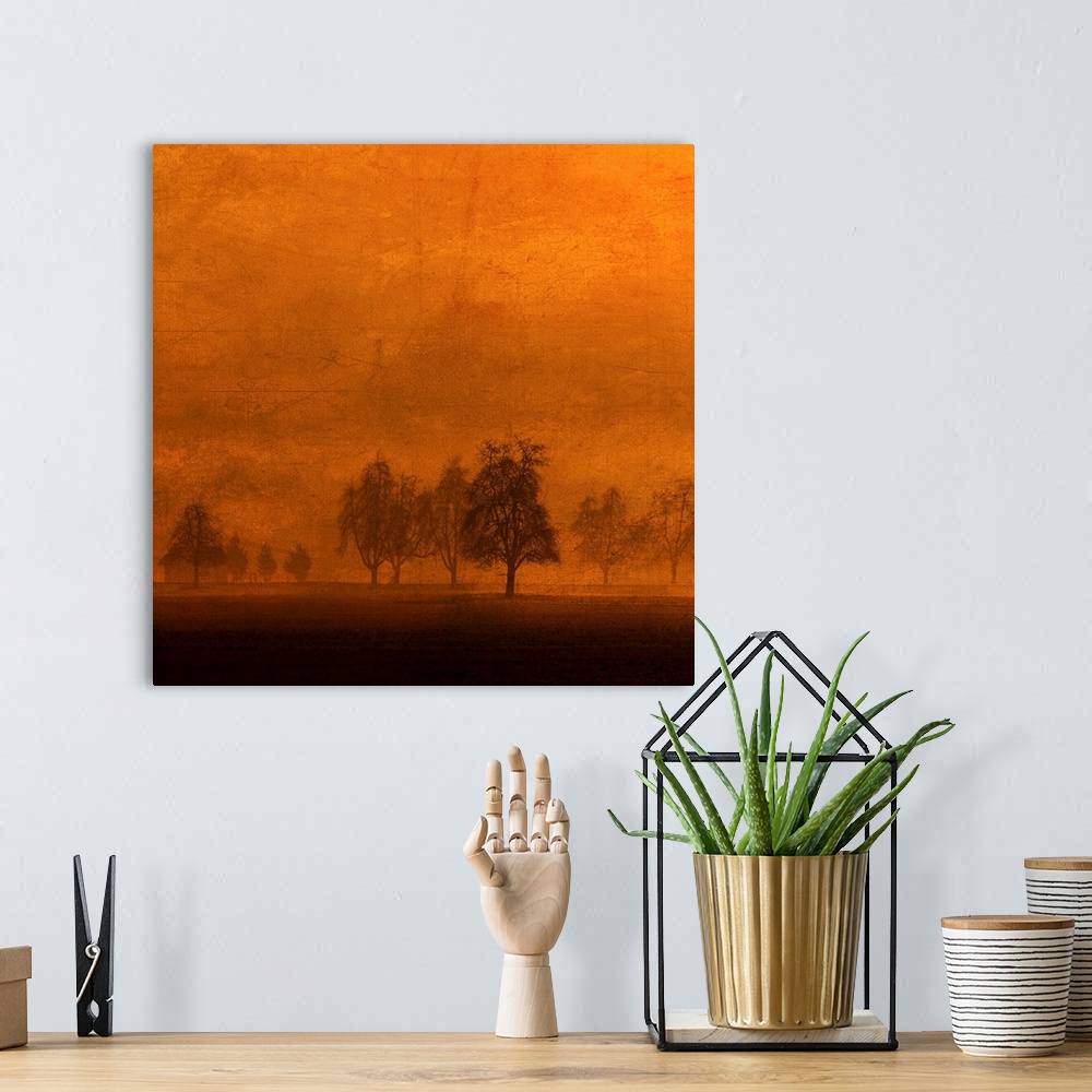 A bohemian room featuring Relaxing In The Land Of Aztrees On An Orange Background With A Photo Texture