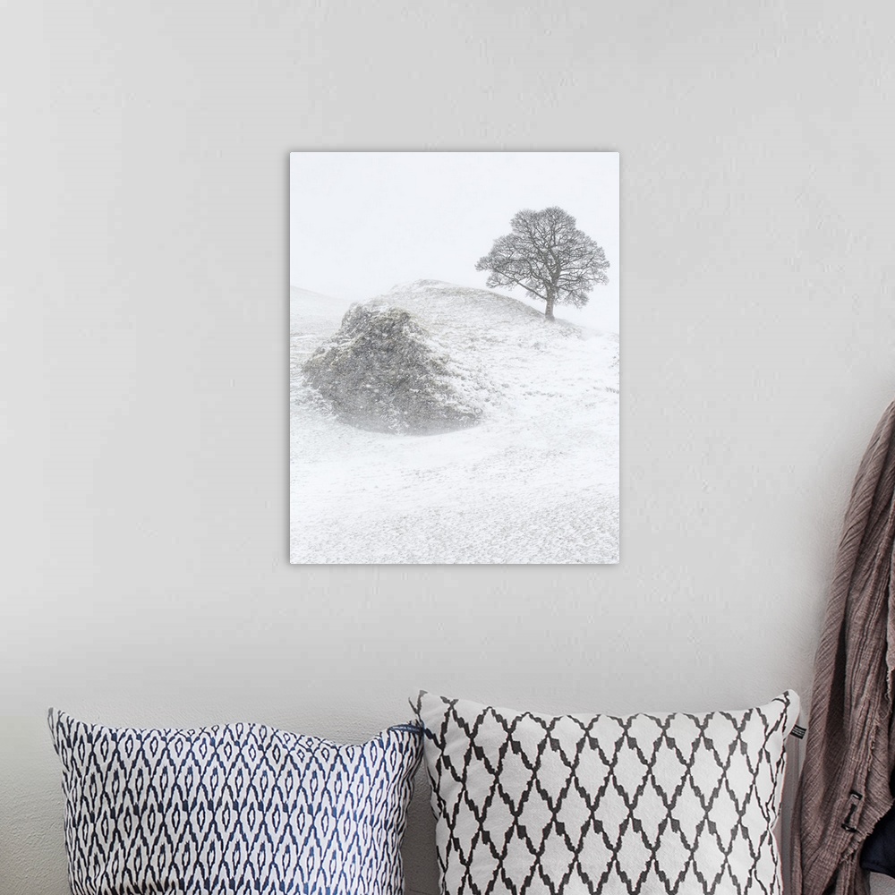 A bohemian room featuring A winter landscape in Derbyshire, England with a bare lone tree on a hillside crag in the heavy f...