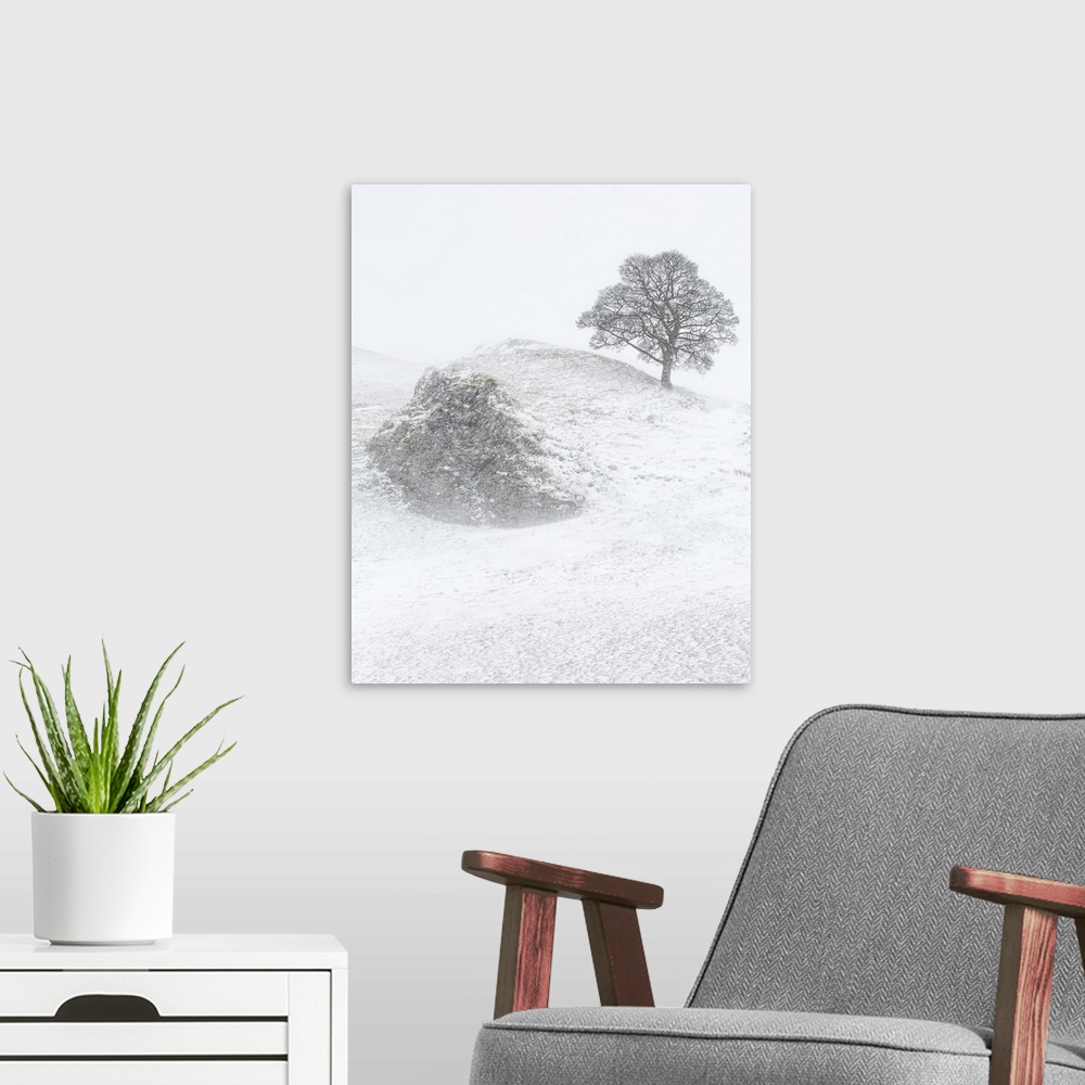 A modern room featuring A winter landscape in Derbyshire, England with a bare lone tree on a hillside crag in the heavy f...