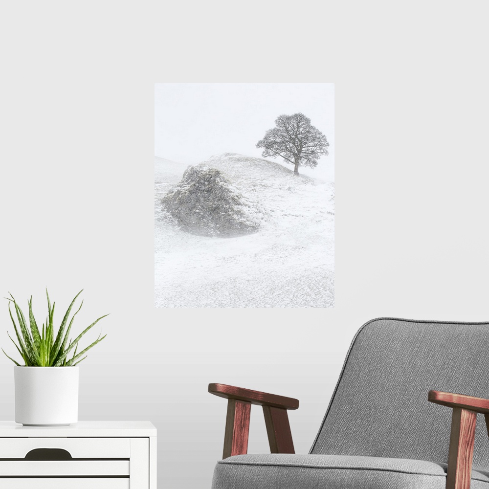 A modern room featuring A winter landscape in Derbyshire, England with a bare lone tree on a hillside crag in the heavy f...