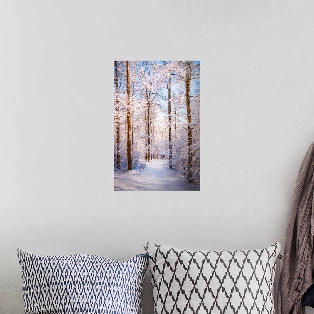 A bohemian room featuring Photo Expressionism - Path in a snowy forest.