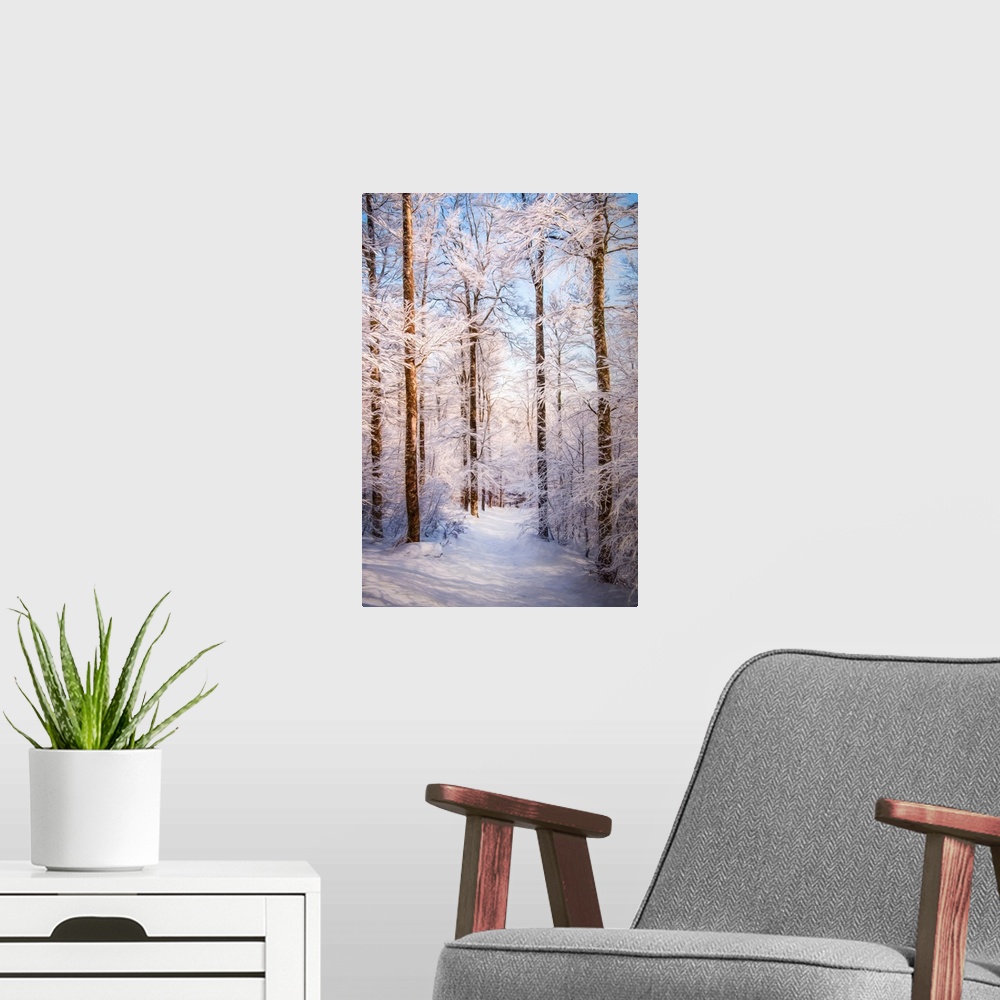 A modern room featuring Photo Expressionism - Path in a snowy forest.
