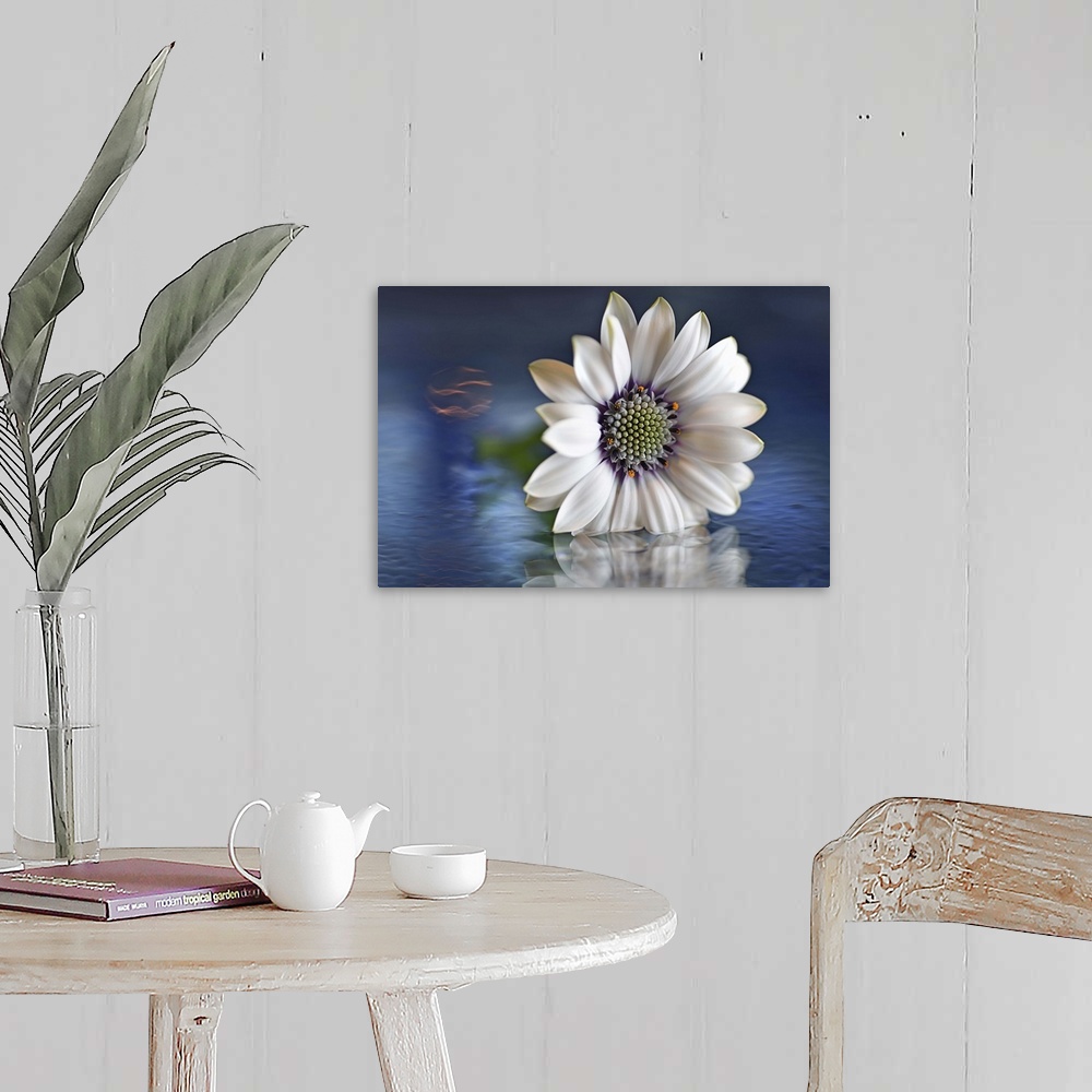 A farmhouse room featuring A macro photograph of a white flower sitting in shallow water.