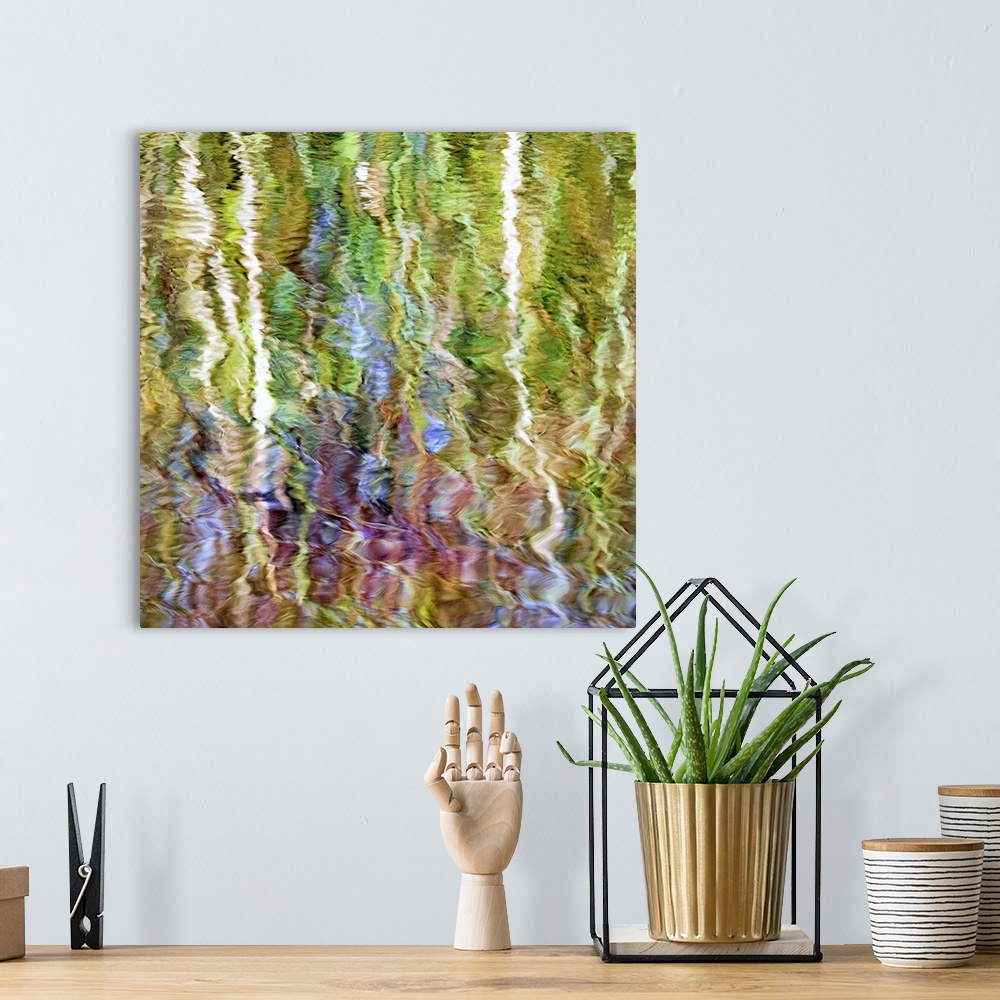 A bohemian room featuring Colorful reflections in rippling water of a pond in the fall.