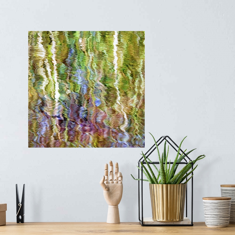 A bohemian room featuring Colorful reflections in rippling water of a pond in the fall.