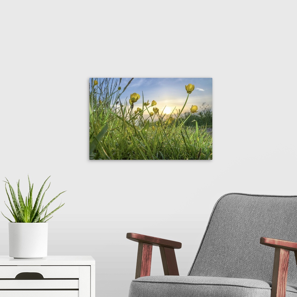 A modern room featuring Rising Beyond The Buttercups