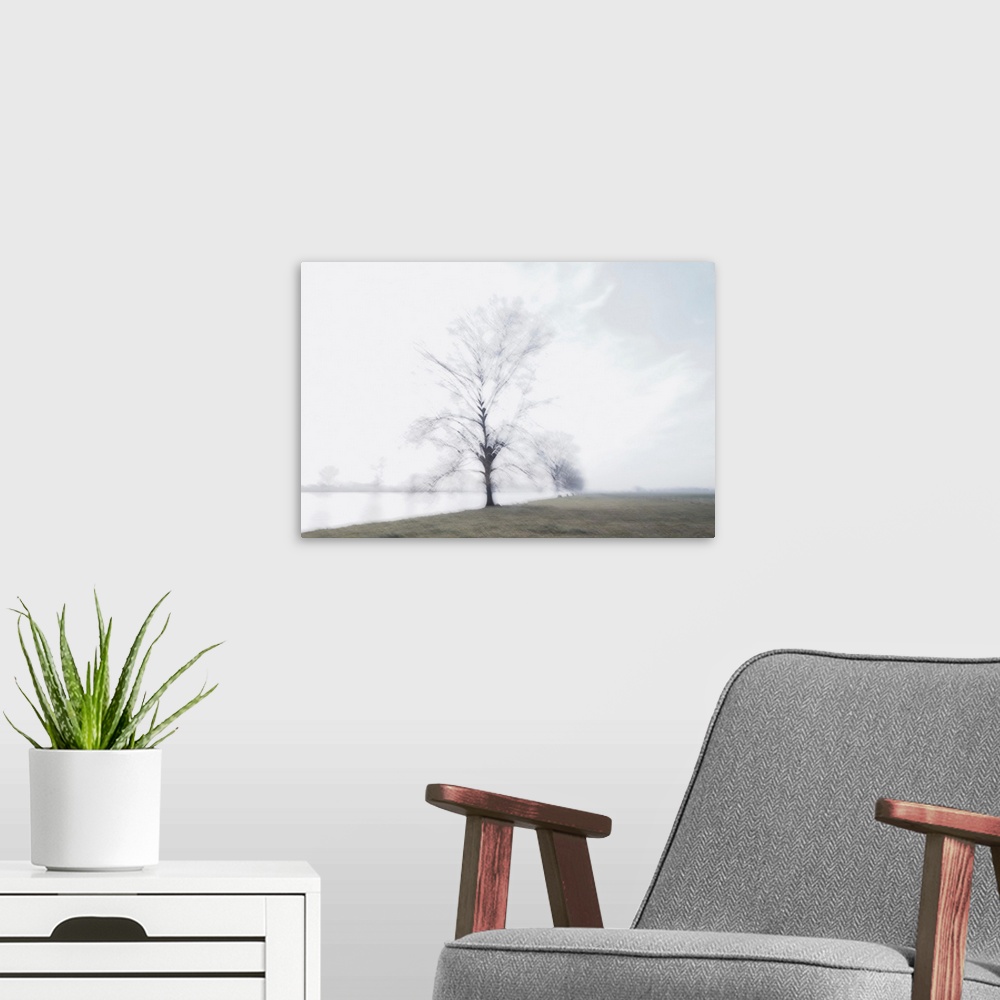 A modern room featuring Artistically blurred photo. A dancing tree in her winter robe, on the border of a river.