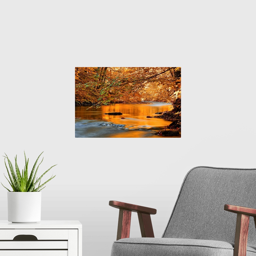 A modern room featuring Photograph of winding creek with trees on both sides.  The trees are filled with fall foliage.