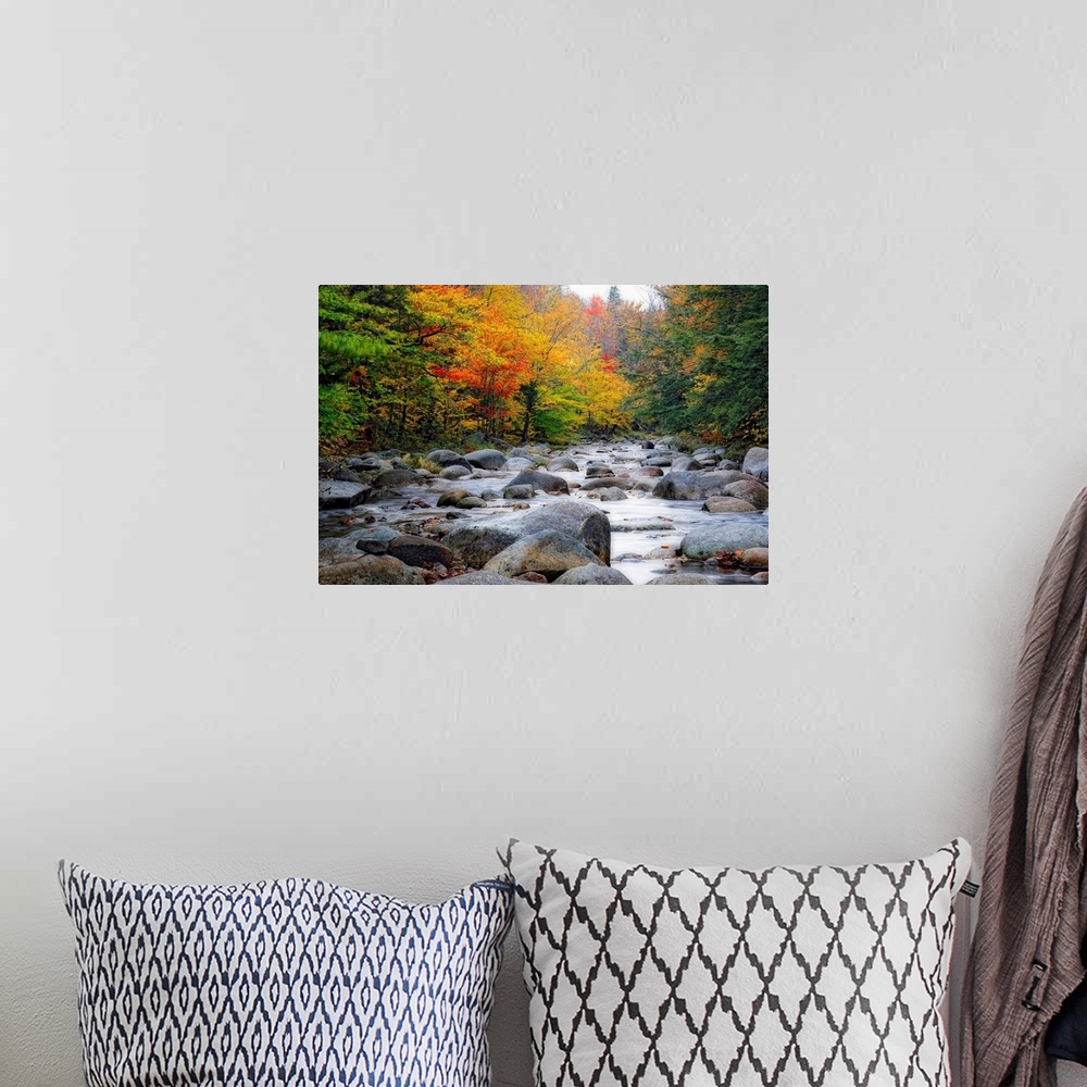A bohemian room featuring Giant photograph of a quiet river with lots of rocks running through a large colorful forest in A...