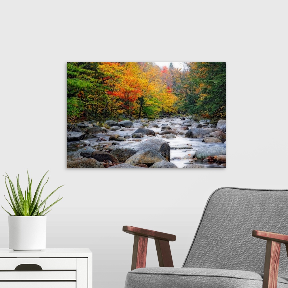 A modern room featuring Giant photograph of a quiet river with lots of rocks running through a large colorful forest in A...