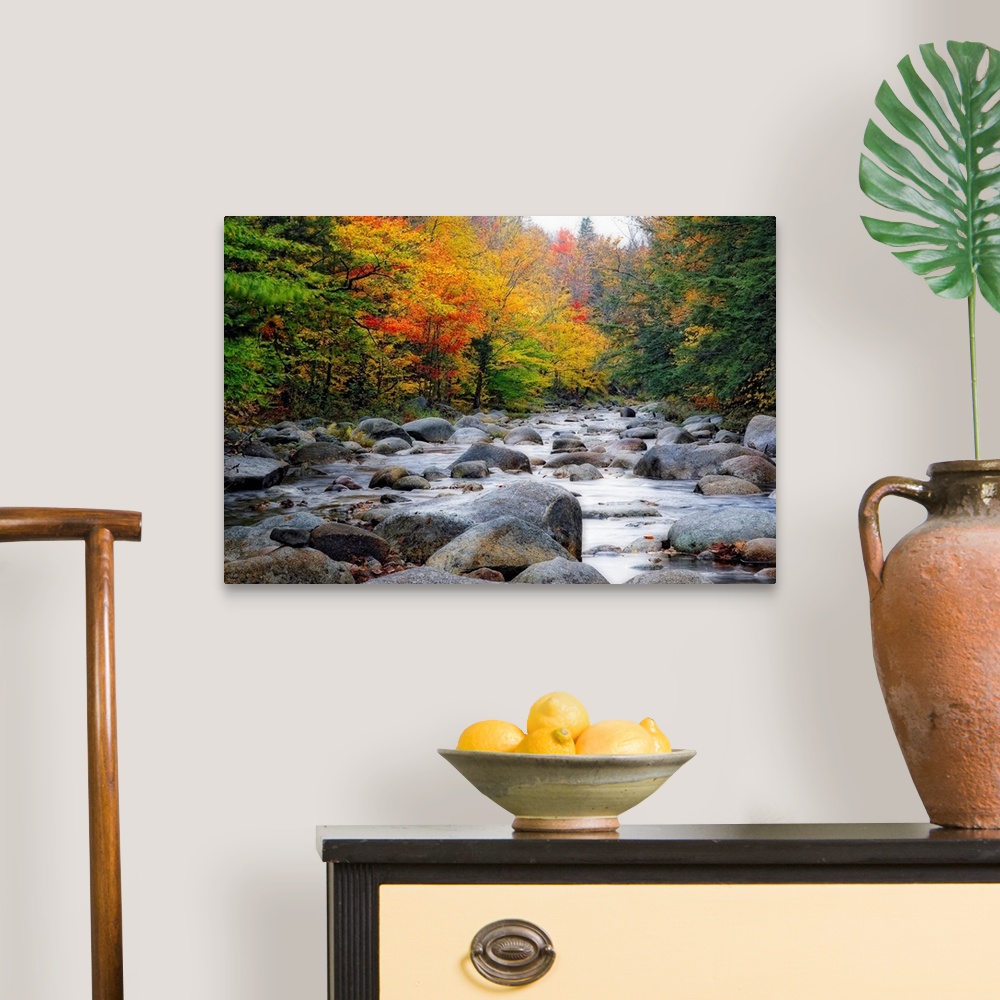 A traditional room featuring Giant photograph of a quiet river with lots of rocks running through a large colorful forest in A...