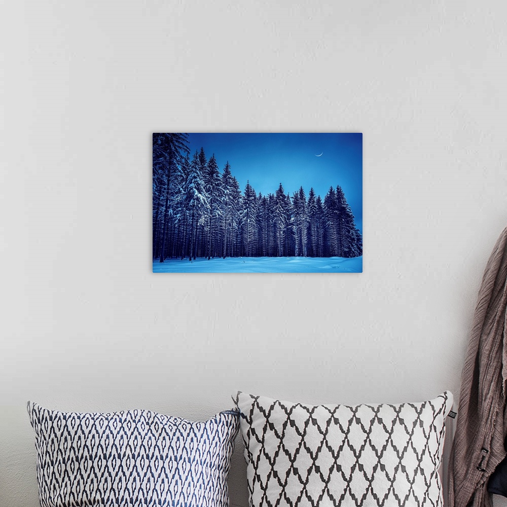 A bohemian room featuring Fir trees in a blue winter atmosphere
