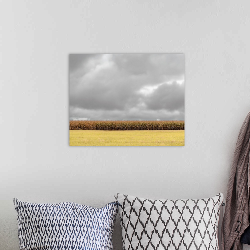 A bohemian room featuring Field of corn under grey overcast skies.
