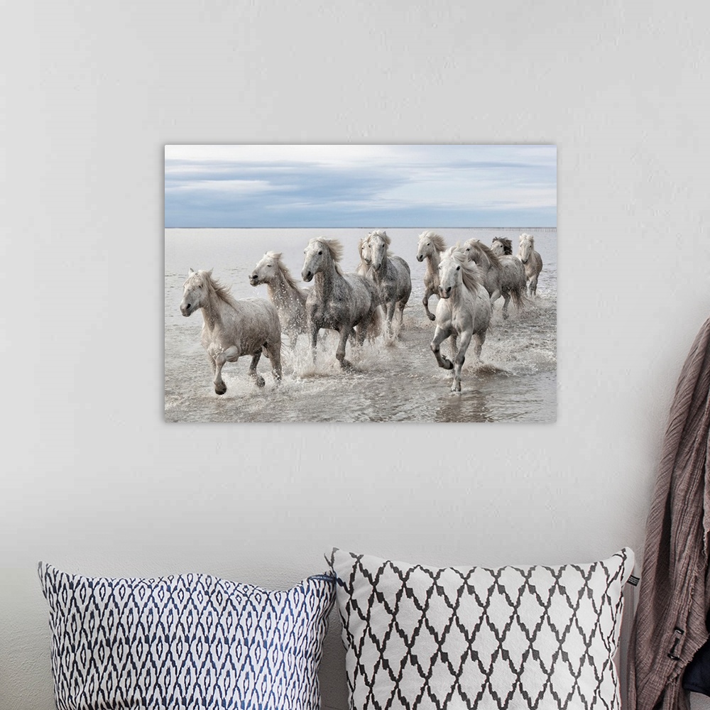 A bohemian room featuring Wildlife photograph of a herd of wild horses galloping across the water.