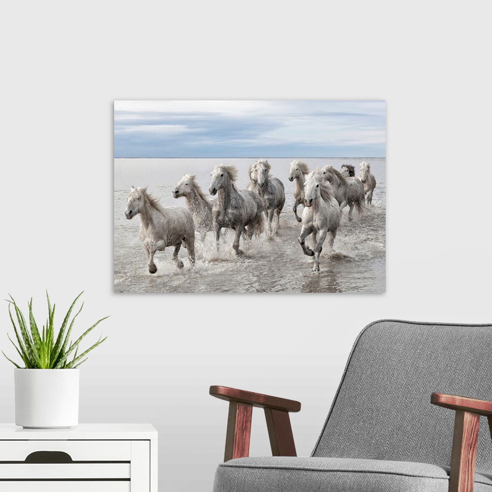 A modern room featuring Wildlife photograph of a herd of wild horses galloping across the water.