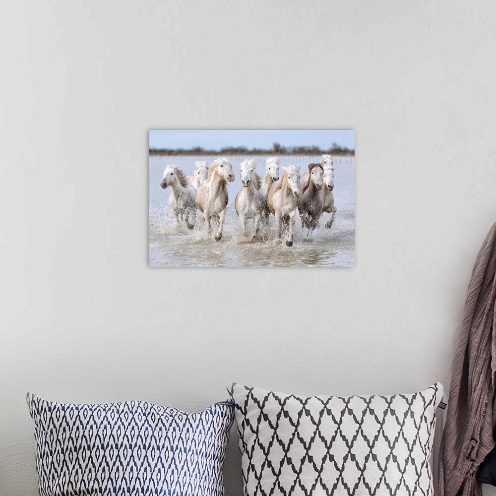 A bohemian room featuring Running wild horses