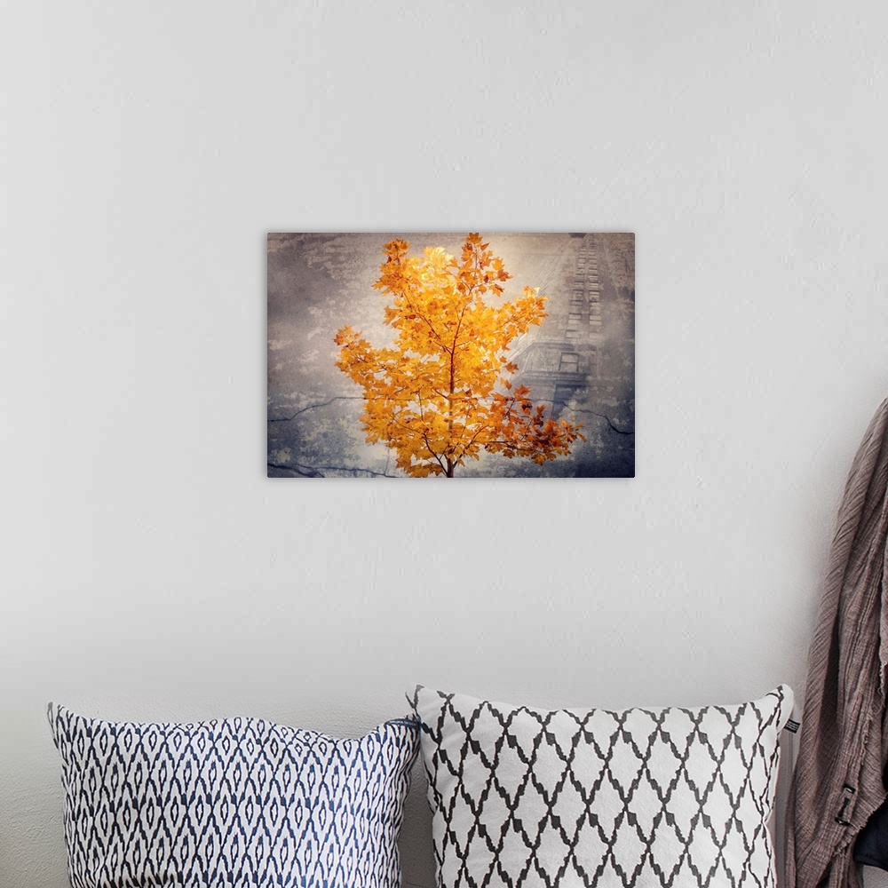 A bohemian room featuring Photographic composite with a beautifully lit Fall tree in the foreground and a tall building in ...