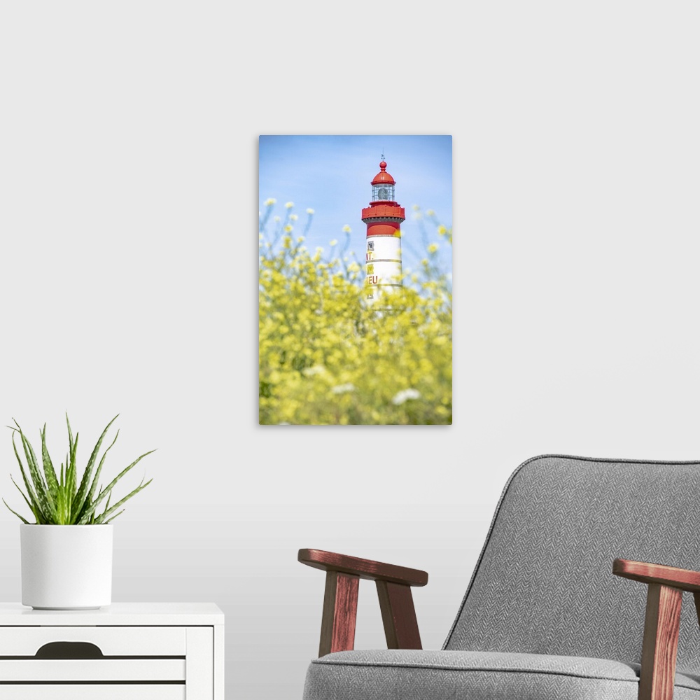 A modern room featuring Saint Mathieu red and white lighthouse under a blue sky and behind yellow flowers in Brittany.Por...
