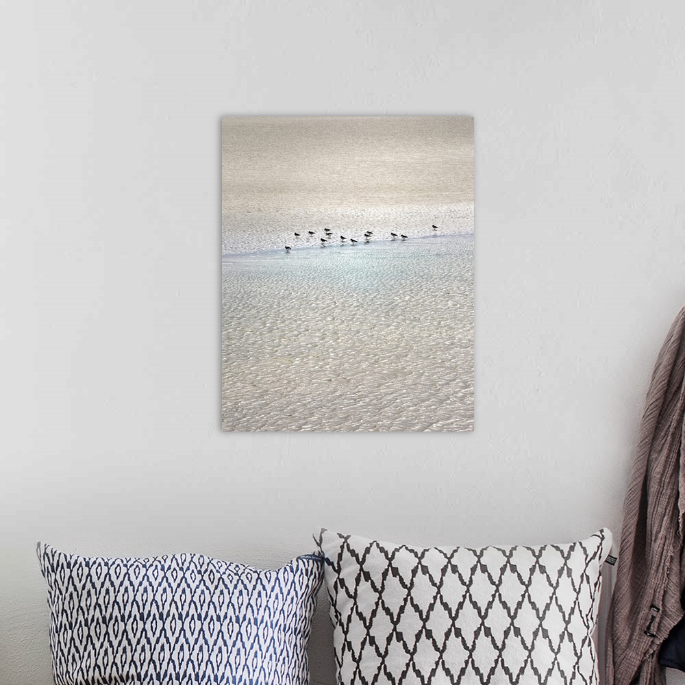 A bohemian room featuring Sandpipers on the beach.