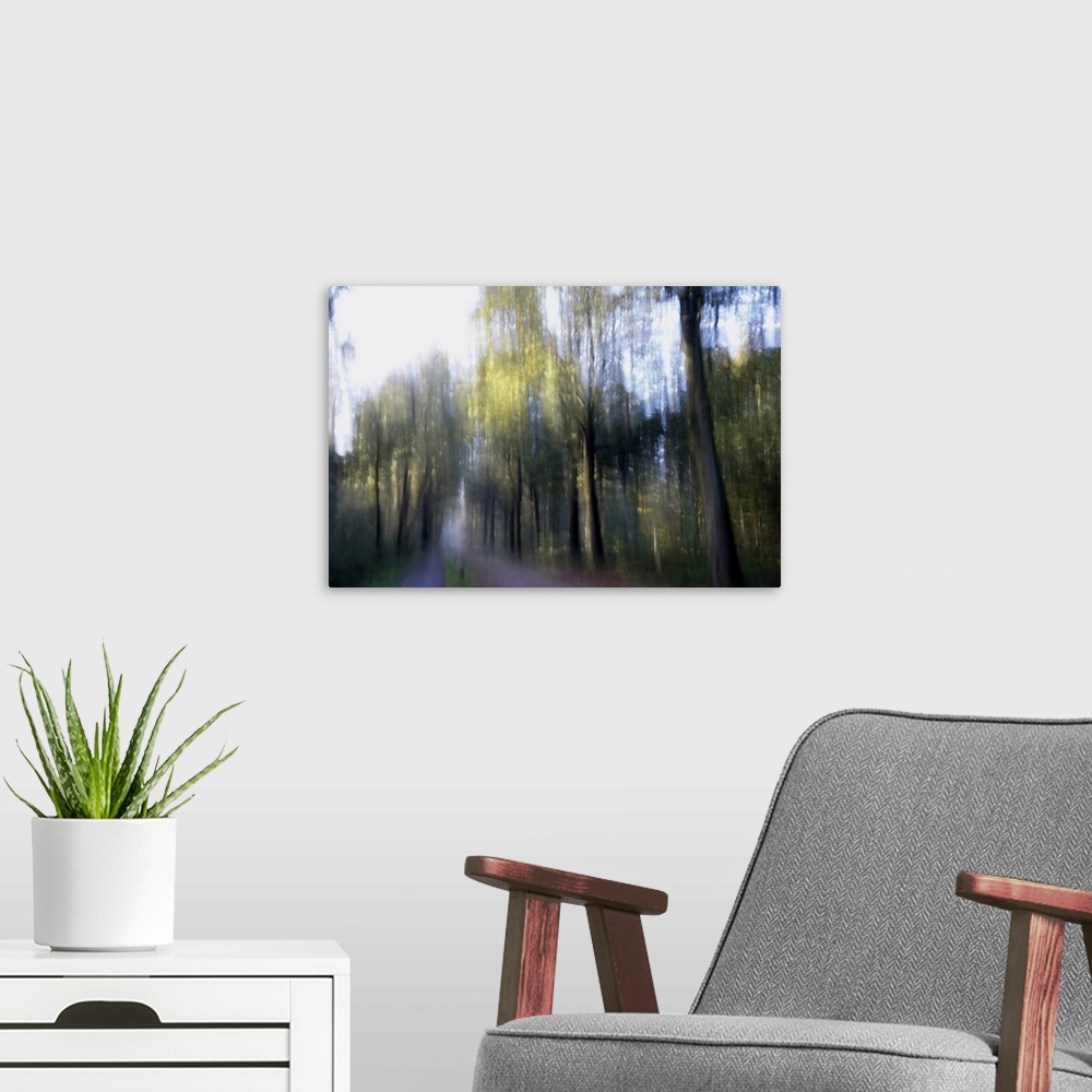 A modern room featuring Artistically blurred photo. Early morning sunlight on the young leaves of the trees.