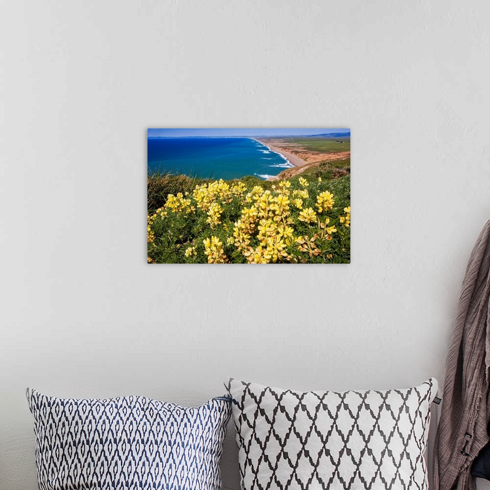 A bohemian room featuring Scenic view of a shoreline with Yellow Wildflowers, Point Reyes National Seashore, California